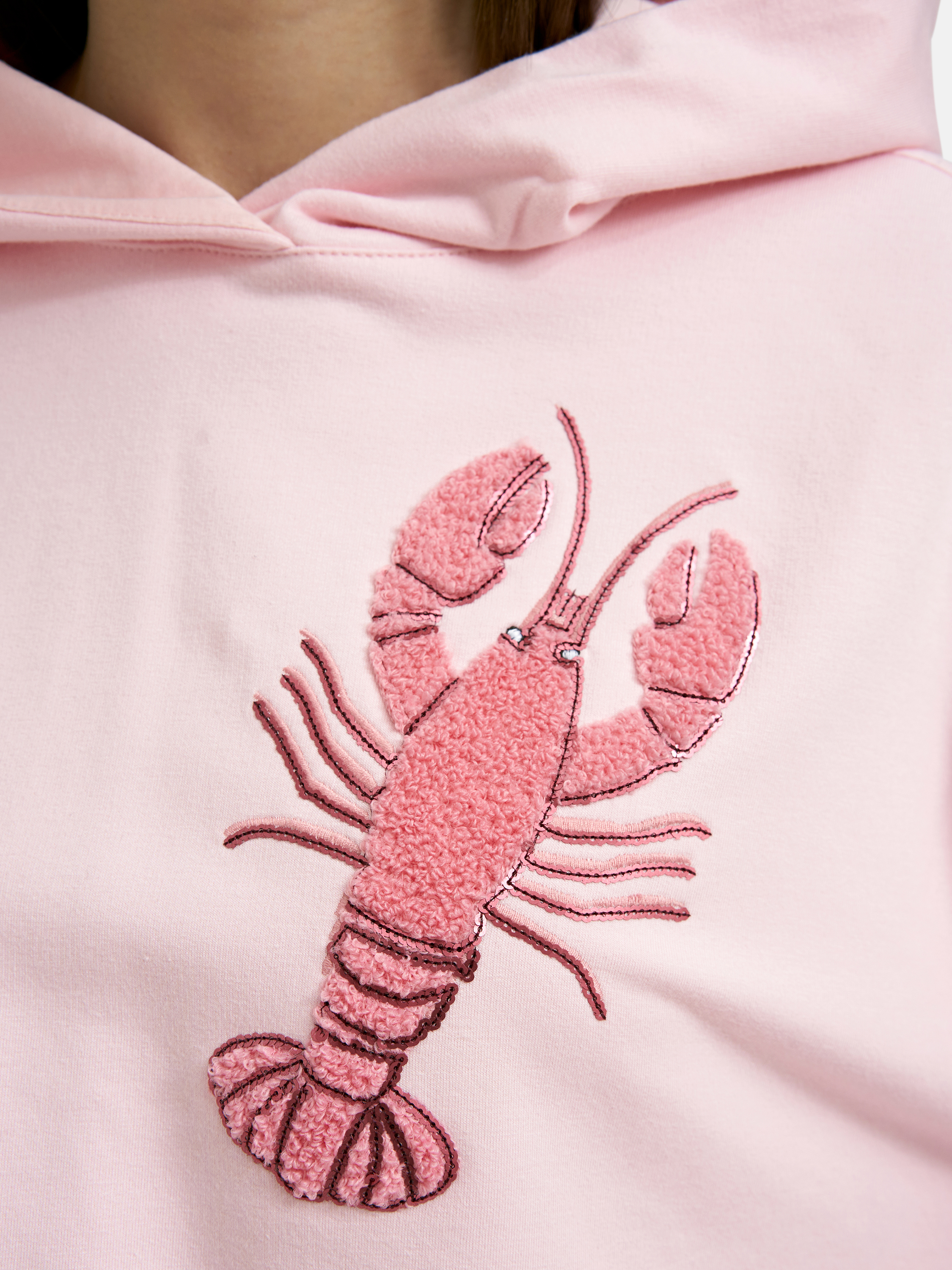 Smith & Soul Sweatshirt rose