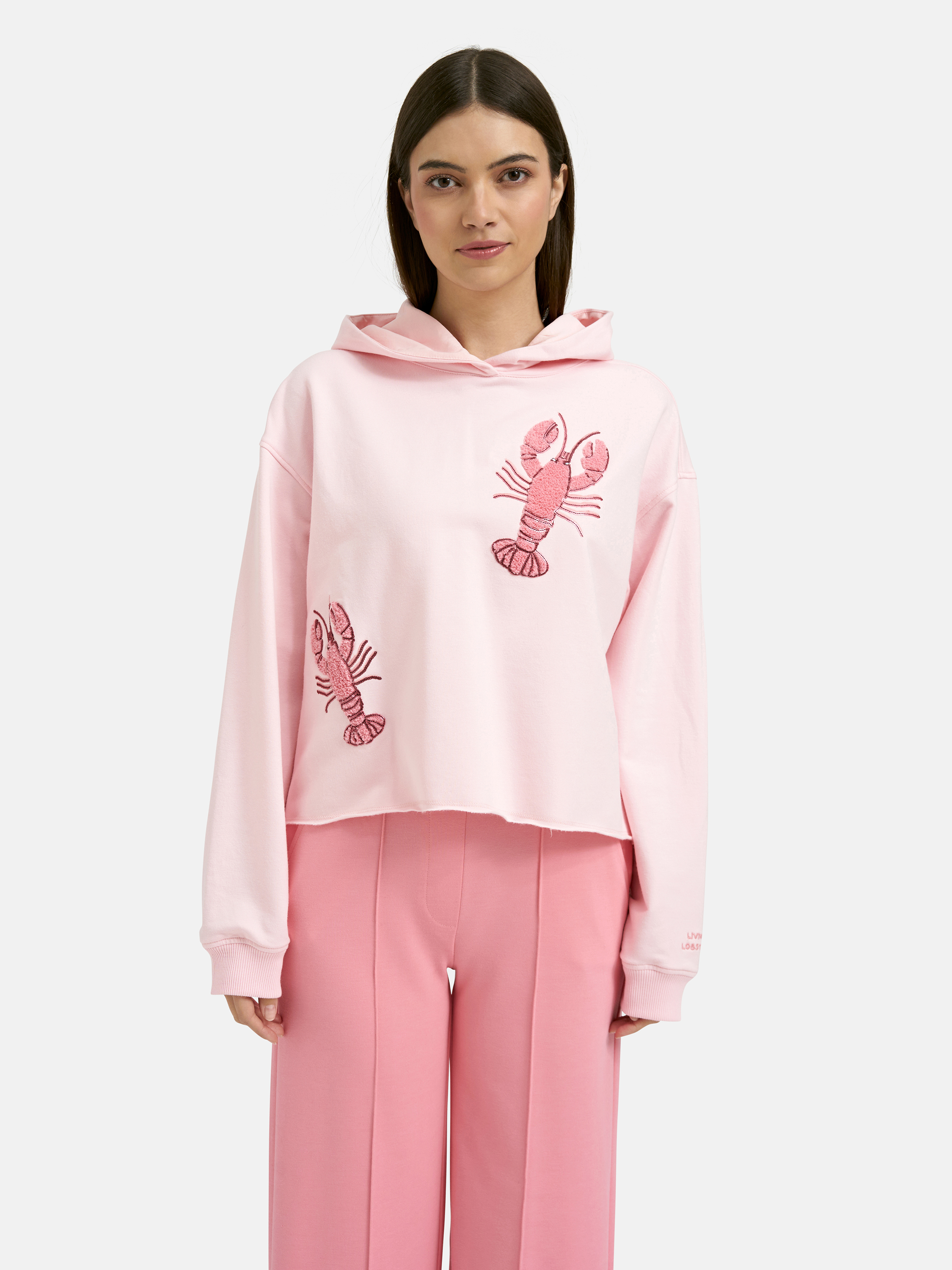 Smith & Soul Sweatshirt rose